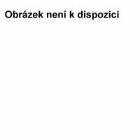 Baloun,Rulandske bile,vzh,2020